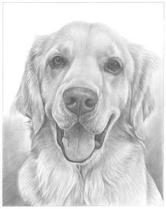 Hand Drawn Pencil Portraits from Photos | Pencil Portrait Drawing | Pencil Sketch Artists
