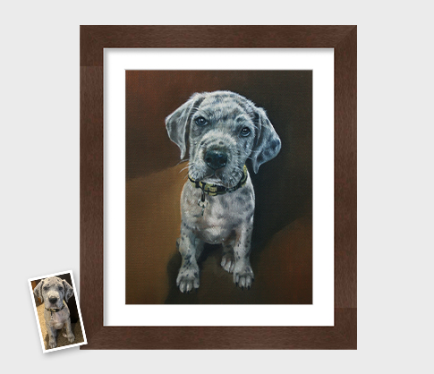 gifts for pet lovers